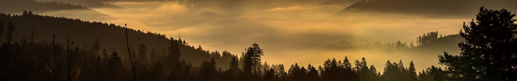 Schwarzwald Morgenstimmung mit Nebel bei Sonnenaufgang
